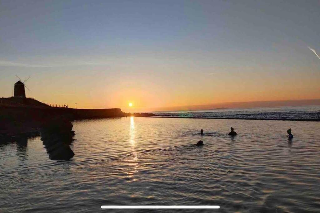 No3 By The Sea A 5 Star Cozy Coastal Cottage Saint Monance Kültér fotó